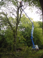 4th October 2008 027